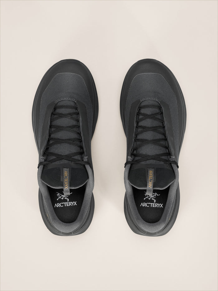 Norvan LD 4 GTX Shoe Men's
