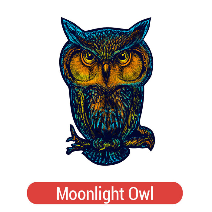 Moonlight Owl