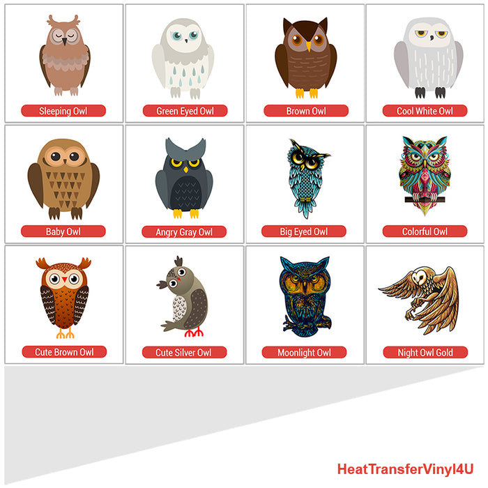 Owl Theme PAC HTV (8")