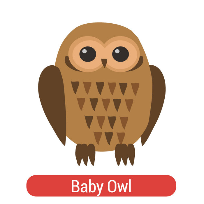 Owl Theme PAC HTV (8")