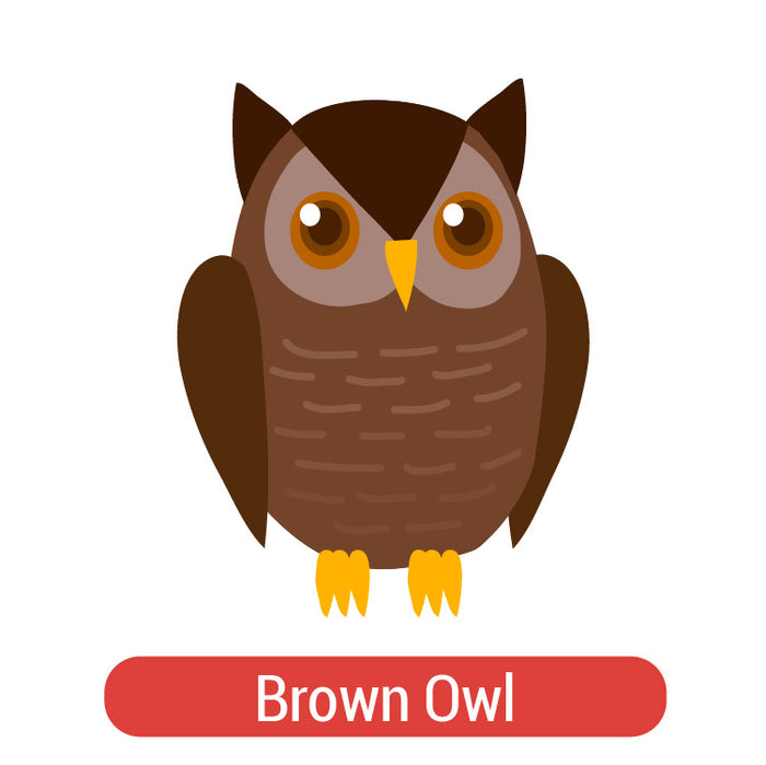 Owl Theme PAC HTV (8")