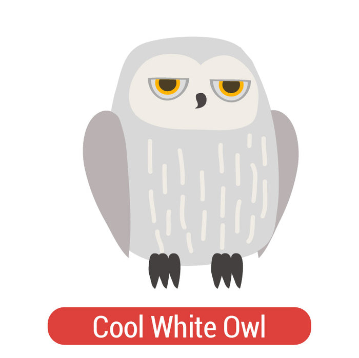 Cool White Owl