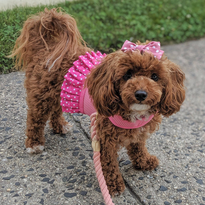Pink Polka Dot Dog Harness Dress