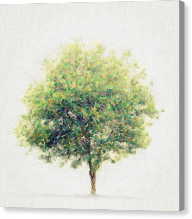 Soledad - Canvas Print