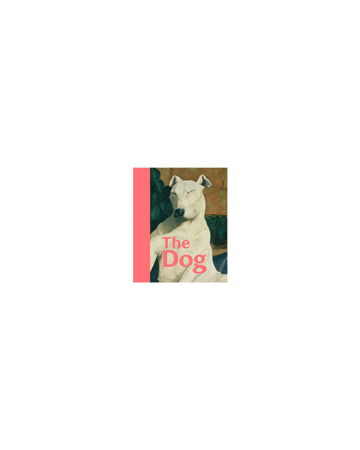 THE DOG