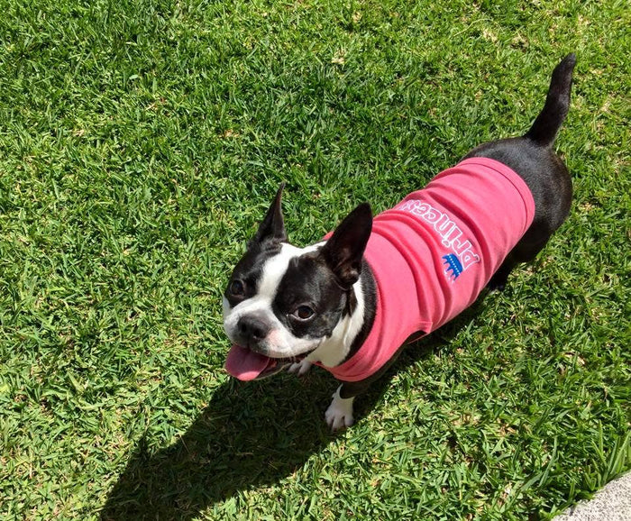 The Royal Princess Dog Tee | Luxury Pet Apparel