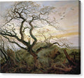 The Tree of Crows - Canvas Print
