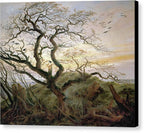 The Tree of Crows - Canvas Print