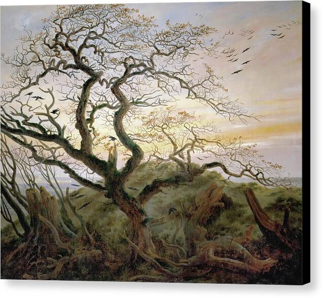 The Tree of Crows - Canvas Print