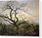 The Tree of Crows - Canvas Print