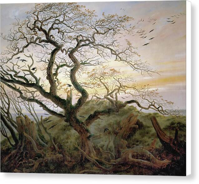 The Tree of Crows - Canvas Print
