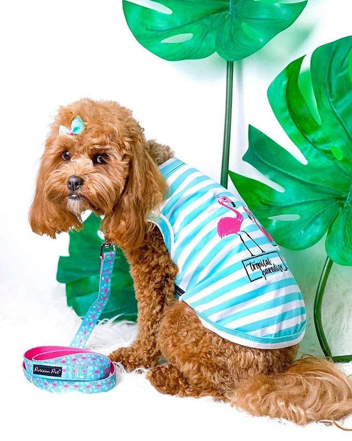 Tropical Flamingo Dog Tee