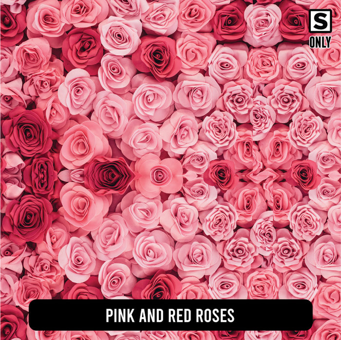 Pink and Red Roses