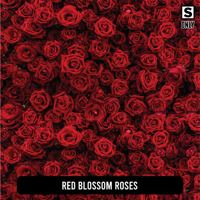 Red Blossom Roses
